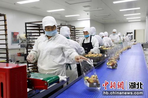 中新网湖北 襄阳樊城做强 链主企业 为食品产业注入强劲动力